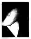 Fig. 03 - Grip pad