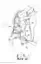 Fig. 02 - Foldable chair