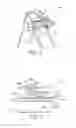Fig. 04 - Seat position-adjusting device for a highchair