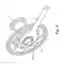 Fig. 06 - Bicycle disc brake hub