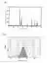 Fig. 02 - Phosphor, production method thereof and light emitting instrument