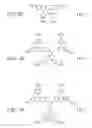 Fig. 12 - Charge transport compositions and electronic devices made with such compositions