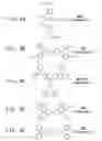 Fig. 14 - Charge transport compositions and electronic devices made with such compositions