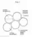 Fig. 02 - Light emitting device including adhesion layer