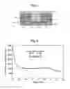 Fig. 03 - Actuator