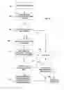 Fig. 04 - Real time automatic headcount system