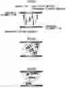 Fig. 03 - Driving method for liquid crystal light modulating device
