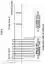 Fig. 05 - Driving method for liquid crystal light modulating device