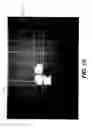 Fig. 13 - Electro-optical modulating display and method of making the same