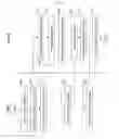 Fig. 06 - System and a method for improving the captured images of digital still cameras