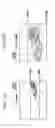 Fig. 11 - Imaging apparatus for setting image areas having individual frame rates