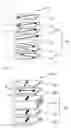 Fig. 10 - Display