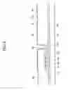 Fig. 10 - Display panel and method of forming thereof