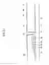 Fig. 12 - Display panel and method of forming thereof