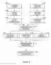 Fig. 08 - Method of eye examination by optical coherence tomography