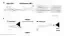 Fig. 01 - PHOTOCHROMIC PROBES