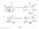 Fig. 09 - PHOTOCHROMIC PROBES