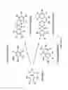 Fig. 10 - PHOTOCHROMIC PROBES