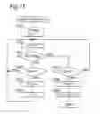 Fig. 12 - System and process for sorting biological particles