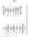 Fig. 07 - IMAGE FORMING APPARATUS