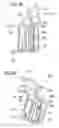 Fig. 32 - Multifunction apparatus