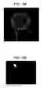 Fig. 16 - Exposure determining device and exposure determining method