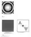 Fig. 07 - METHOD FOR THE CALCULATION OF, STORAGE MEDIUM FOR AND DEVICE FOR THE READ-OUT OF COMPUTER-GENERATED HOLOGRAMS ON A NON-PLANAR SURFACE