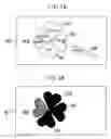 Fig. 20 - REFLECTION TYPE DIFFUSE HOLOGRAM, HOLOGRAM FOR REFLECTION HOLOGRAM COLOR FILTERS, ETC, AND REFLECTION TYPE DISPLAY DEVICE USING SUCH HOLOGRAMS