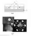 Fig. 07 - Adhesive Chromagram And Method Of Forming Thereof