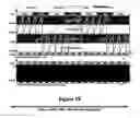 Fig. 10 - Method and apparatus for stereoscopic display using column interleaved data with digital light processing