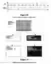 Fig. 27 - Method and apparatus for stereoscopic display using column interleaved data with digital light processing