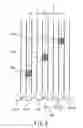 Fig. 07 - Optical pick-up head, optical information apparatus, and optical information reproducing method