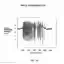 Fig. 12 - METHOD FOR HIGH DENSITY DATA STORAGE AND IMAGING