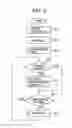 Fig. 04 - Biometric information detecting apparatus