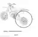 Fig. 10 - Degrading 3D information