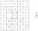 Fig. 07 - Image noise reduction method based on local correlation