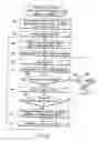 Fig. 51 - INFORMATION STORAGE MEDIUM, INFORMATION REPRODUCING APPARATUS, AND INFORMATION REPRODUCING METHOD