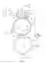 Fig. 02 - Electrostatographic apparatus having improved transport member