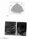 Fig. 02 - Nanosheets of MgO processing the 111 plane
