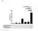 Fig. 02 - Combination of R,R-glycopyrrolate, rolipram, and budesonide for the treatment of inflammatory diseases