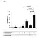 Fig. 03 - Combination of R,R-glycopyrrolate, rolipram, and budesonide for the treatment of inflammatory diseases