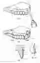Fig. 02 - Methods for bleaching and desensitizing teeth