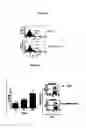 Fig. 07 - Immune Modulation By Regulating Expression Of The 