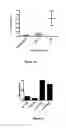 Fig. 09 - Immune Modulation By Regulating Expression Of The 