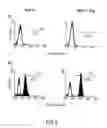 Fig. 08 - RECOMBINANT PERFORIN, EXPRESSION AND USES THEREOF