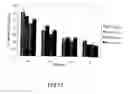 Fig. 13 - RECOMBINANT PERFORIN, EXPRESSION AND USES THEREOF