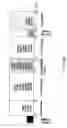 Fig. 28 - RECOMBINANT PERFORIN, EXPRESSION AND USES THEREOF