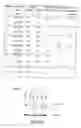 Fig. 33 - RECOMBINANT PERFORIN, EXPRESSION AND USES THEREOF