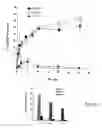 Fig. 35 - RECOMBINANT PERFORIN, EXPRESSION AND USES THEREOF