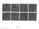 Fig. 08 - Modified HPV E6 and E7 genes and proteins useful for vaccination